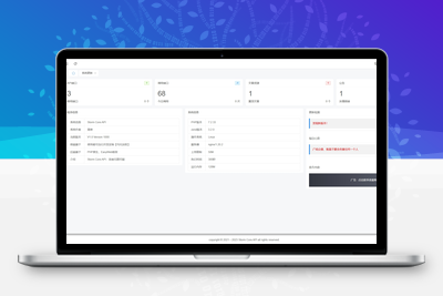 全新Storm Core API管理系统源码 免授权版 支持二开添加接口 API接口管理